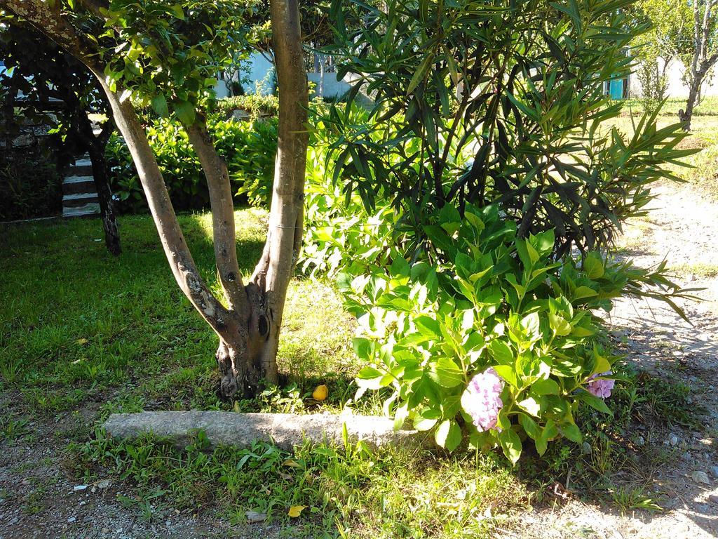 Casa Do Fiscal Villa Barroselas Værelse billede